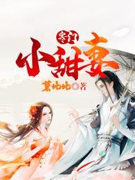 寒门小甜妻正版
