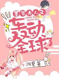 夫人又轰动全球了大结局