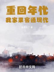 重回年代我家菜窖通现代 免费