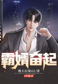 霸婿崛起顶点