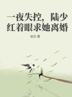 一夜纵情陆少难伺候275章