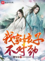 我家娘子不对劲夏蝉最后的结局