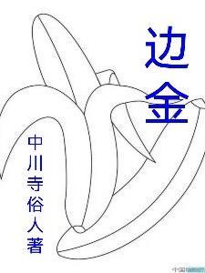 边金安医生个人简历