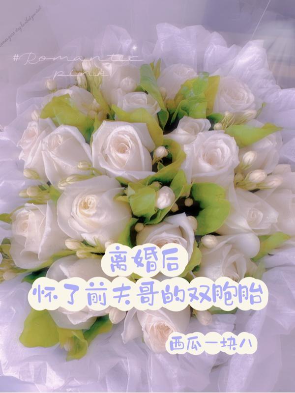 离婚后前夫求复婚完整版