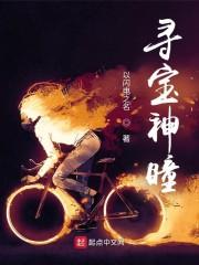 寻宝眼力效果