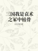 三国 我是袁术