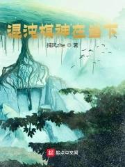 弈星的混沌棋多少点券