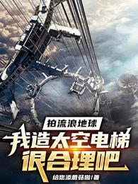 流浪地球拍摄多少钱