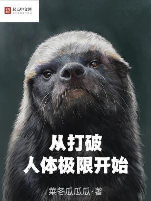从打破极境开始