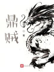 鼎贼 简介