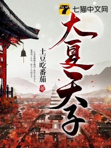 大夏太子夏子辰