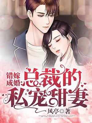 错嫁成婚总裁的私宠甜妻正版
