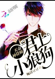 天命神符师君上小狼狗TXT