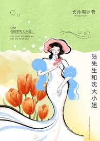 沈大小姐和宋先生