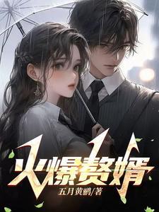 赘婿 火枪