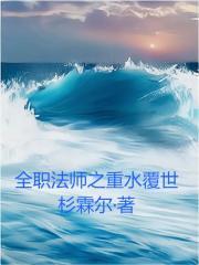 全职法师之重返未来