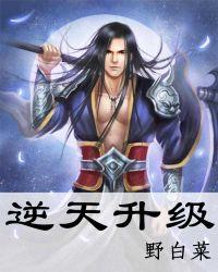 逆天升级等级划分详细