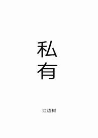私有月亮