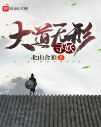 大道无形3