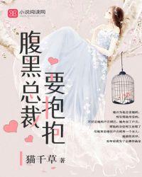 腹黑总裁要抱抱1132章