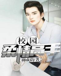 校园高手类