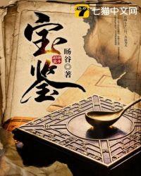 宝鉴天佩全文免费阅读