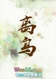 离岛区属于哪个市