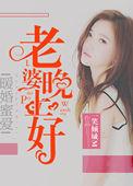 老婆晚上见全文免费