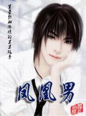 凤凰男by winging