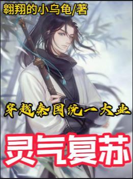 大秦统一六国的过程