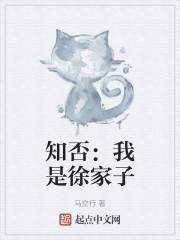 知否我是徐家子TXT