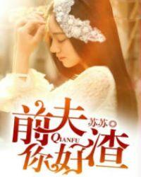 前夫你好前夫再见全文