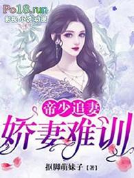 帝少追妻忙