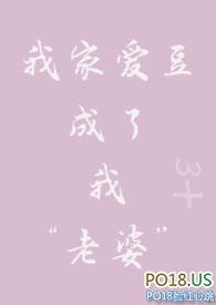 我家爱豆有人设
