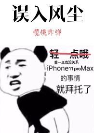 误入风尘地