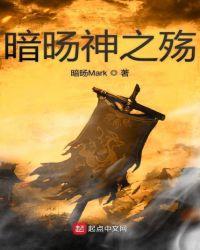 暗影之殇是什么意思