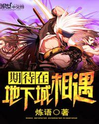 期待在地下城相遇为什么没有了
