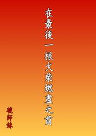 最后一根火柴的阅读答案