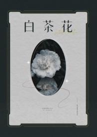 白茶花歌词