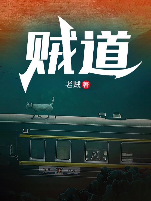 贼道之天下无贼短剧演员表