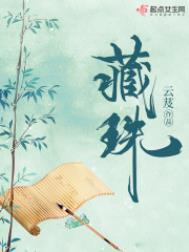 藏珠全本免费阅读无弹窗