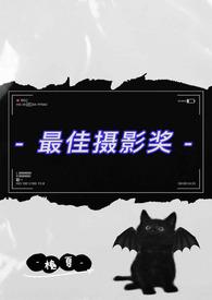 最佳摄影影片