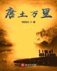 唐土万里无错
