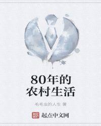 80年代农村生活水平