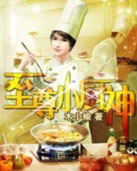 至尊小厨神免费观看