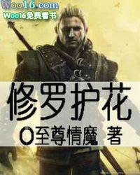 修罗护花 叶不凡txt