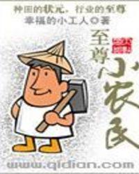 至尊小农民百度百科