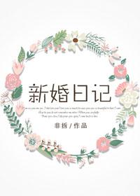 新婚日记岑憬目录免费阅读