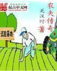 农夫传奇TXT