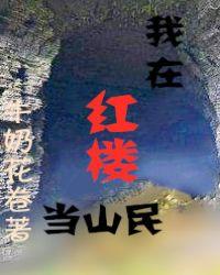 我在红楼当山民全文免费阅读云南省电子税务局